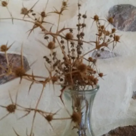 度假居 Paros Traditional Windmill